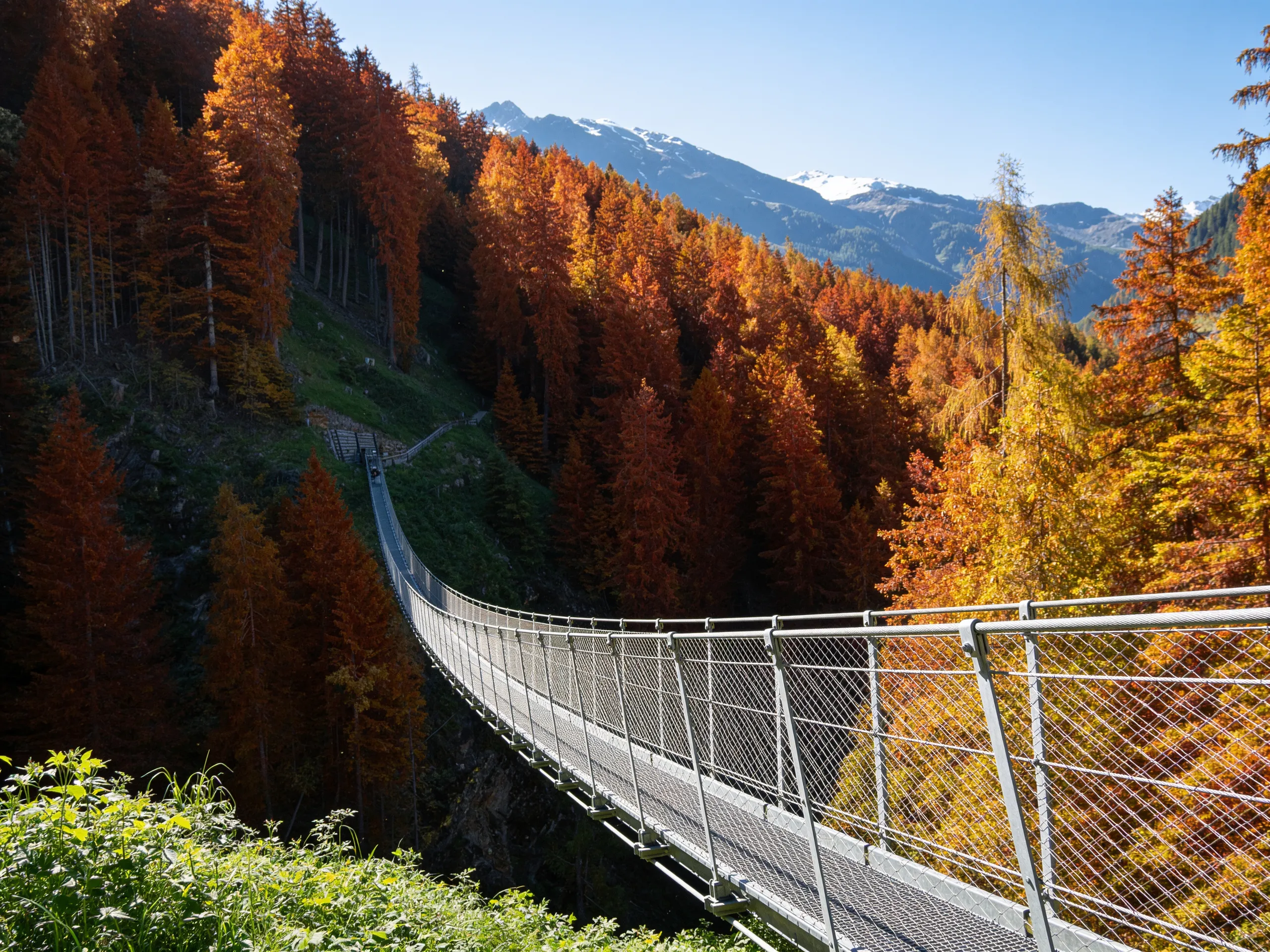 Ponte sospeso tra i larici in autunno